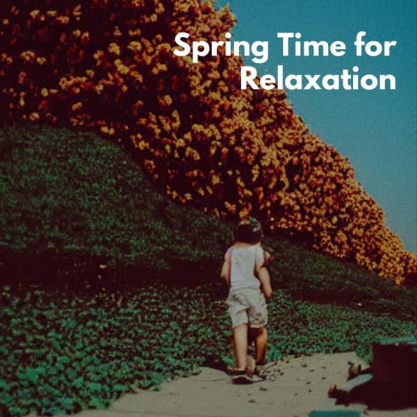 Spring Time for Relaxation - Deluxe Elevator Music