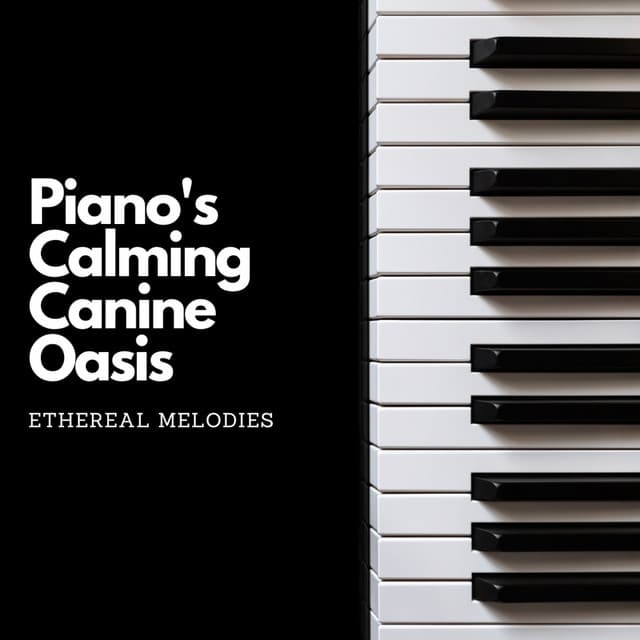 Piano's Calming Canine Oasis: Ethereal Melodies - Calming Piano Music