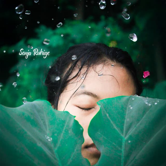 Lotus über stillem See - Sonja Ruhige