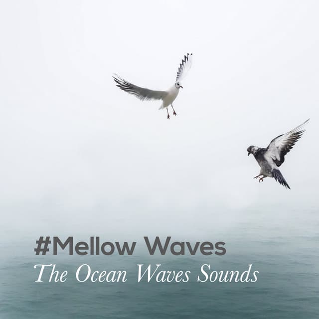 #Mellow Waves - The Ocean Waves Sounds