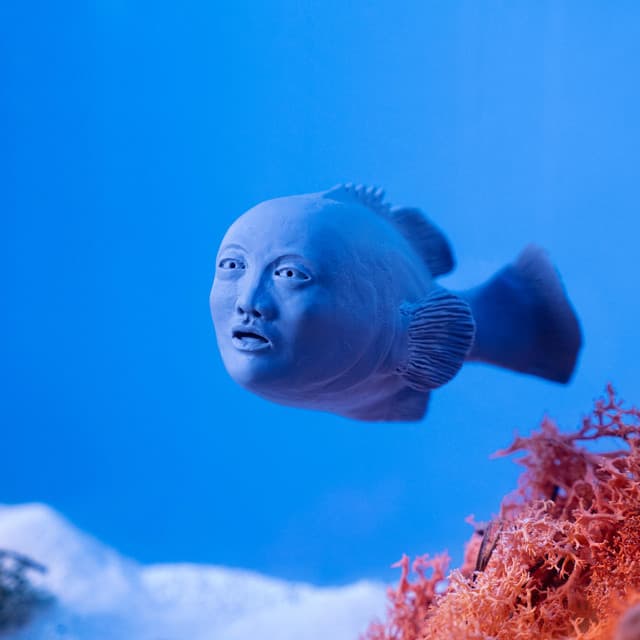 Assertion - Hainbach