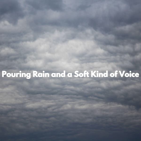 Pouring Rain and a Soft Kind of Voice - Ristorante Jazz Playlist