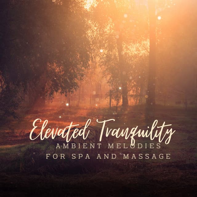 Elevated Tranquility: Ambient Melodies for Spa and Massage - The Goth Piano