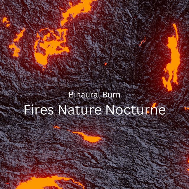 Binaural Burn: Fires Nature Nocturne - Binaural Statement