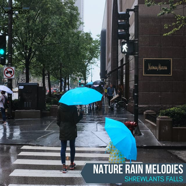 Nature Rain Melodies - Shrewlants Falls - The Rain Library