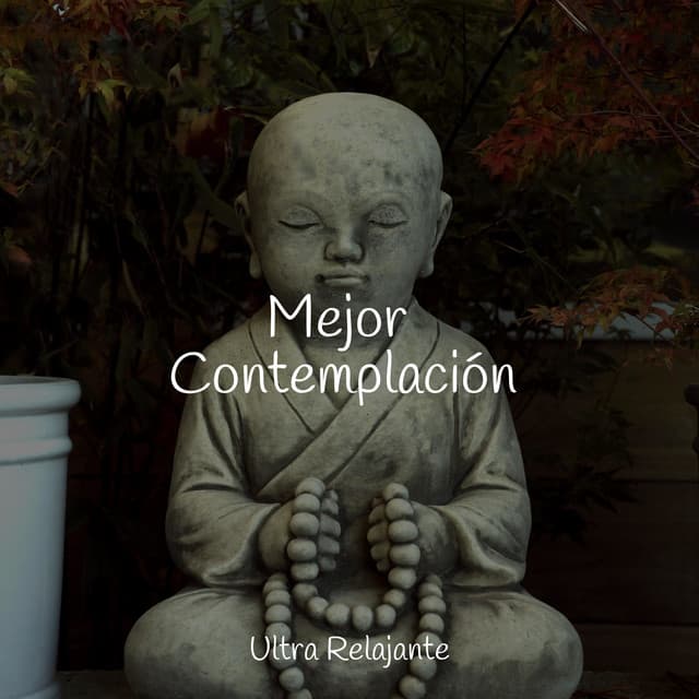 Mejor Contemplación - Meditação Zen
