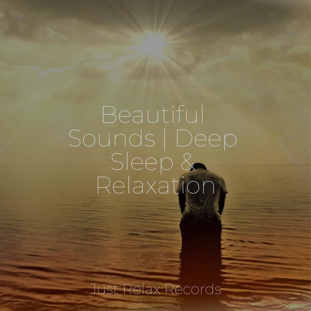 Beautiful Sounds | Deep Sleep & Relaxation - Music For Absolute Sleep
