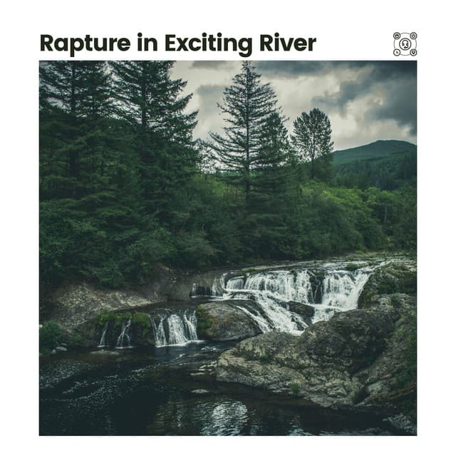 Rapture in Exciting River - Swedish Forest Birds