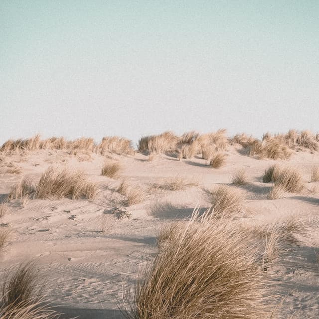 Meditation Music - Sonidos de lluvia para dormir