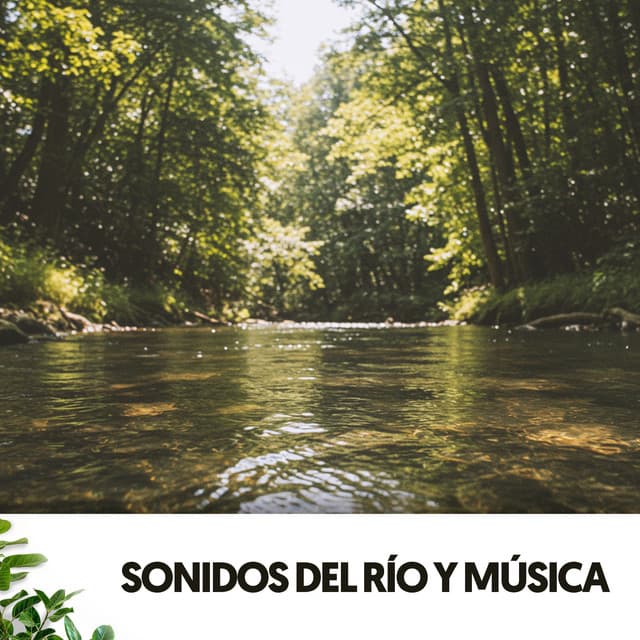 Sonidos del río y música: Melodias del flow - Dog Relaxation