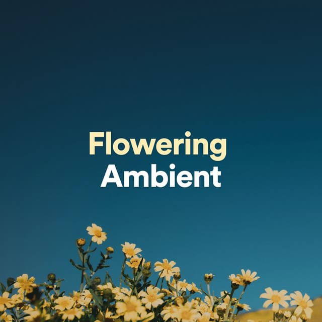 Flowering Ambient - Sound Sleeping