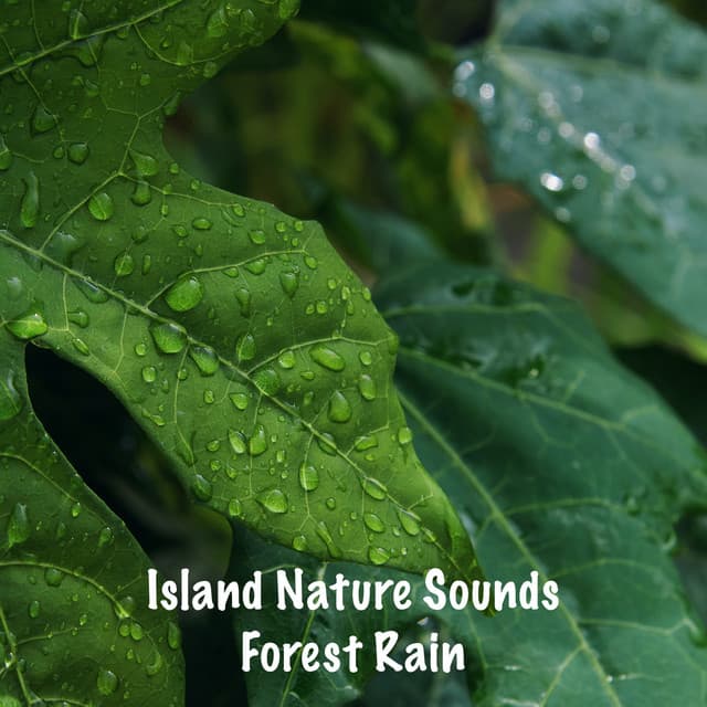 Island Nature Sounds