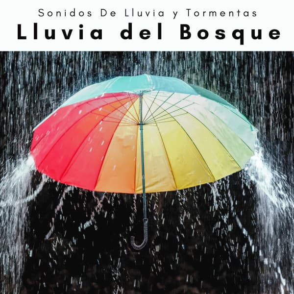 A Lluvia del Bosque - Sonidos De Lluvia y Tormentas