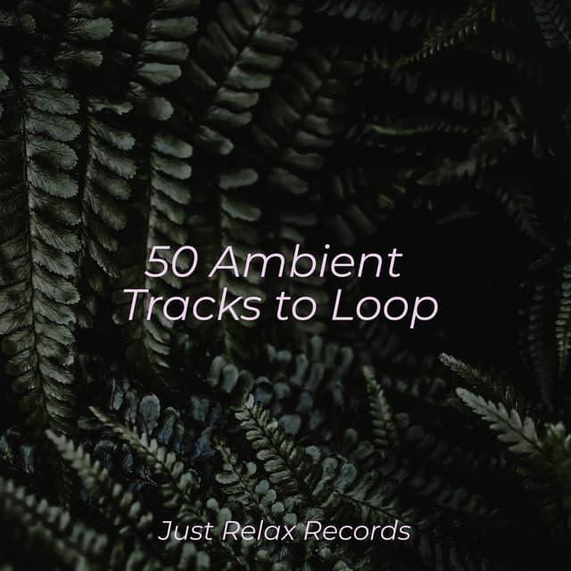 50 Ambient Tracks to Loop - Japanese Relaxation and Meditation