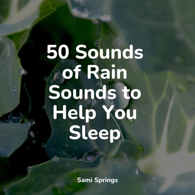 50 Sounds of Rain Sounds to Help You Sleep - White Noise Sound Garden