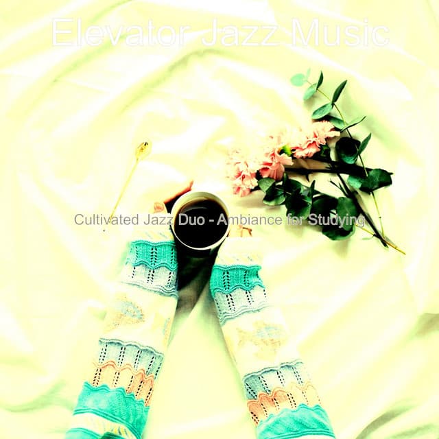 Cultivated Jazz Duo - Ambiance for Studying - Elevator Jazz Music