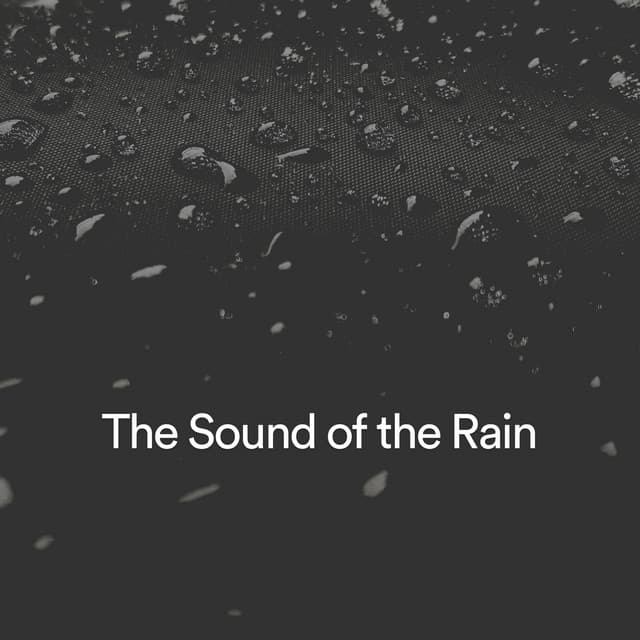 The Sound of the Rain - Forest Rain FX