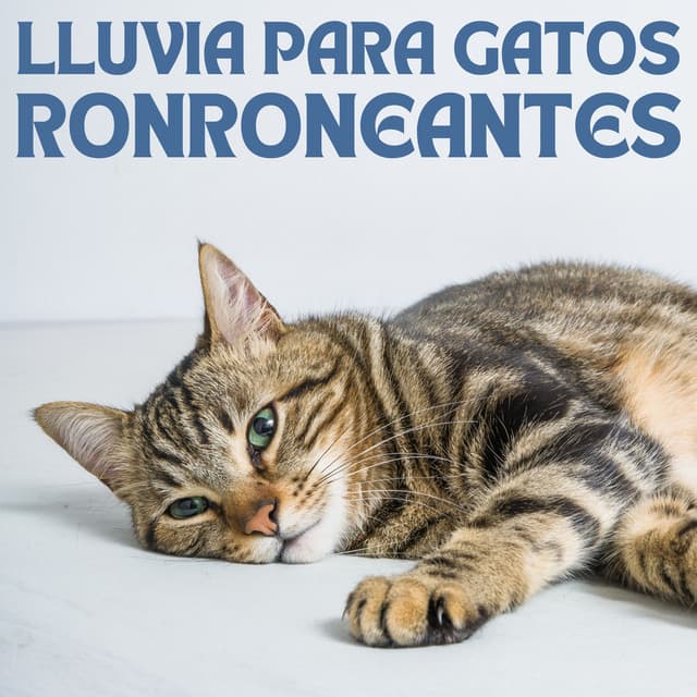 Lluvia Para Gatos Ronroneantes - Olivia Lluvia