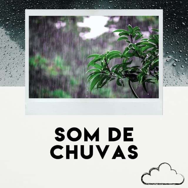 Som De Chuvas - Som Da Chuva