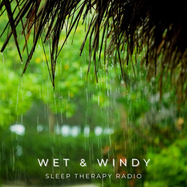 Wet and Windy - Sleep Therapy Radio