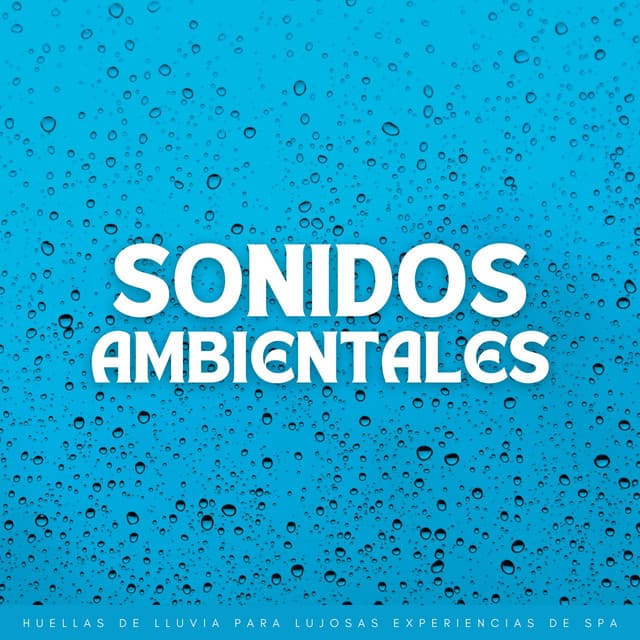 Sonidos Ambientales: Huellas De Lluvia Para Lujosas Experiencias De Spa - Efectos especiales de sonidos de lluvia