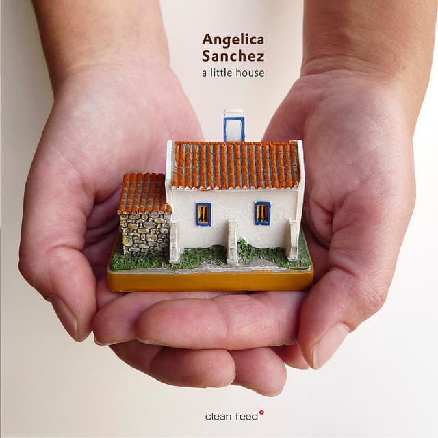 A Little House - Angelica Sanchez