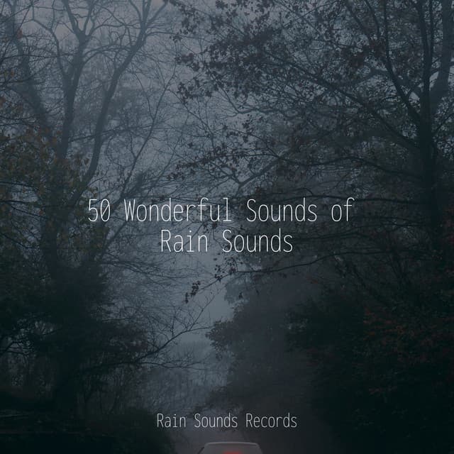 50 Wonderful Sounds of Rain Sounds - Relaxing Spa Music