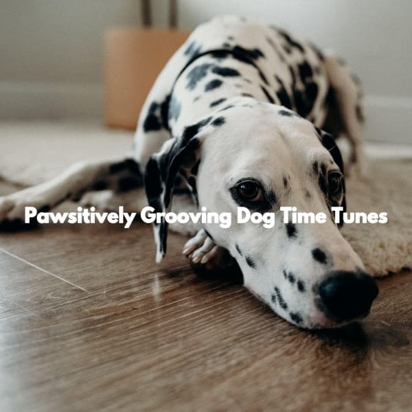Pawsitively Grooving Dog Time Tunes - Classy Relaxing Dog Music