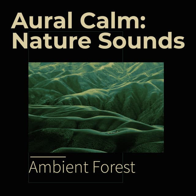 Aural Calm: Nature Sounds - Ambient Forest