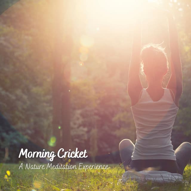 Morning Cricket: A Nature Meditation Experience - Cricket Sounds