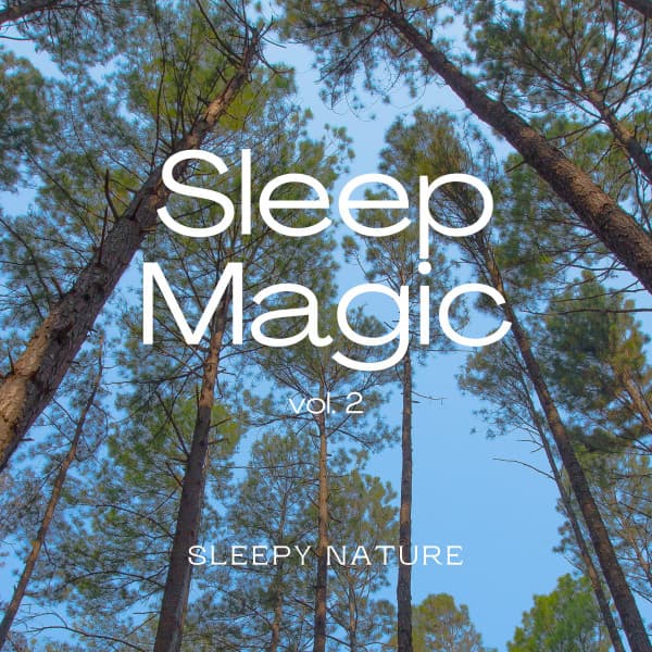 2022 Sleep Magic vol. 2 - Sleep Tech