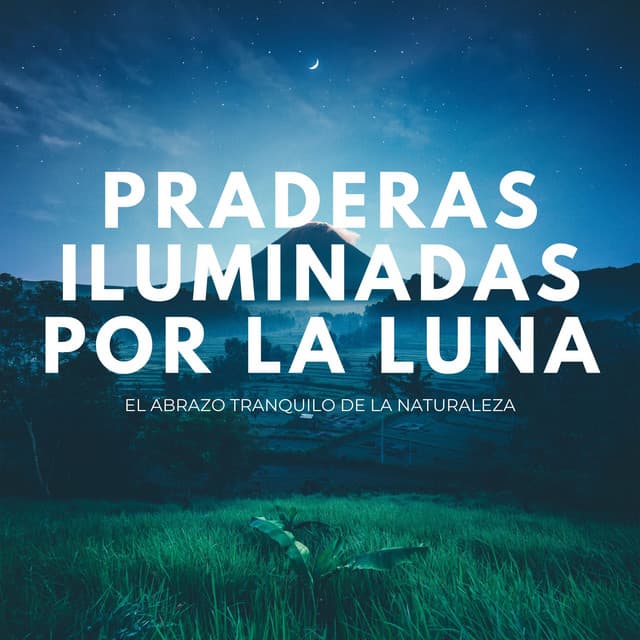 Praderas Iluminadas Por La Luna: El Abrazo Tranquilo De La Naturaleza - Música del domingo por la noche