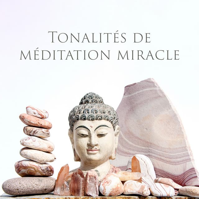 Tonalités de méditation miracle - 188 Hz – 576 Hz: Thérapie de régénération cellulaire, Désintoxication méditative, DNA Guérison complète du corps - Mia Softly
