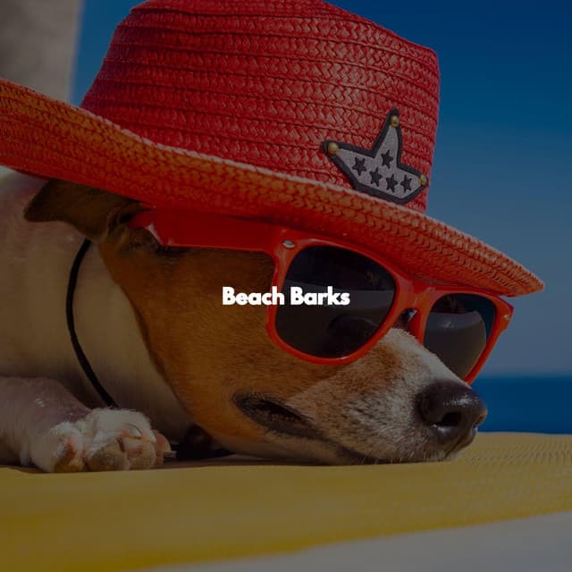 Beach Barks - Easy Jazz Music