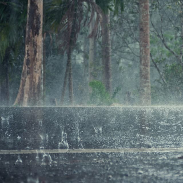 Gentle Rain Sounds Factory