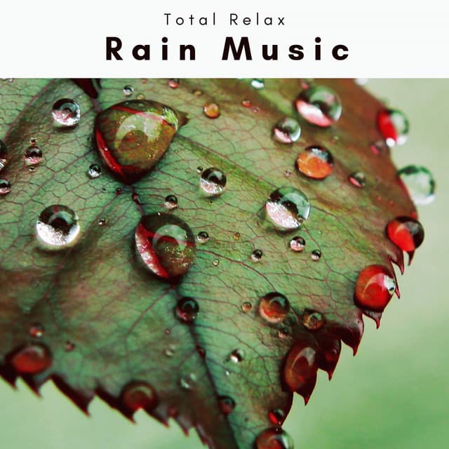 A Rain Music Rain Music - Total Relax