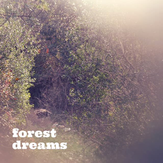 Forest Dreams