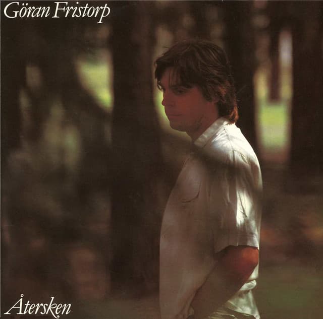 Återsken - Göran Fristorp