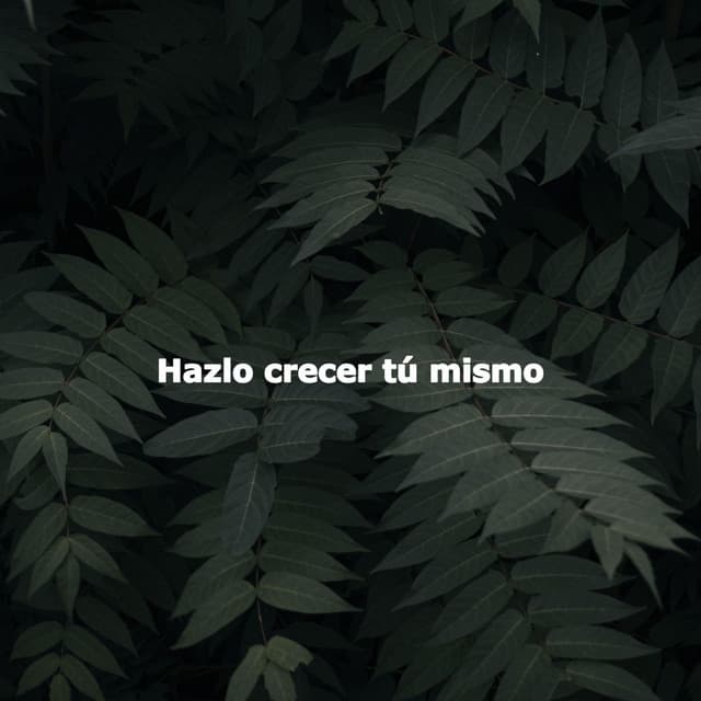 Hazlo crecer tú mismo - Hotel Lounge Soundtracks