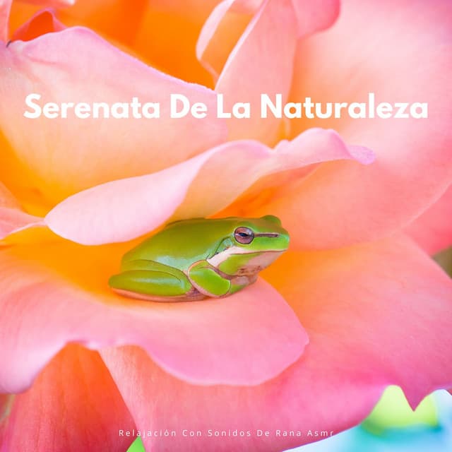 Serenata De La Naturaleza: Relajación Con Sonidos De Rana ASMR - ASMR Anónimo