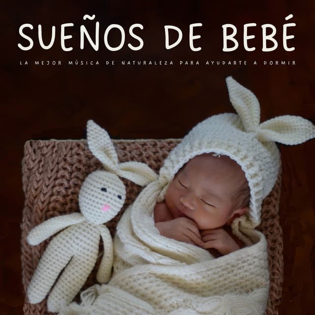 Sueños De Bebé: La Mejor Música De Naturaleza Para Ayudarte A Dormir - Musica Clasica para Bebes Orchestra