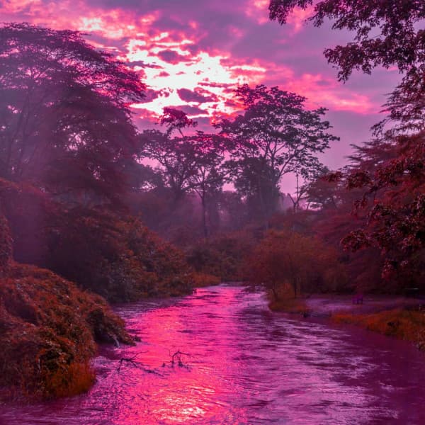 Bgm for Thinking Shadows - Restaurant Background Playlist