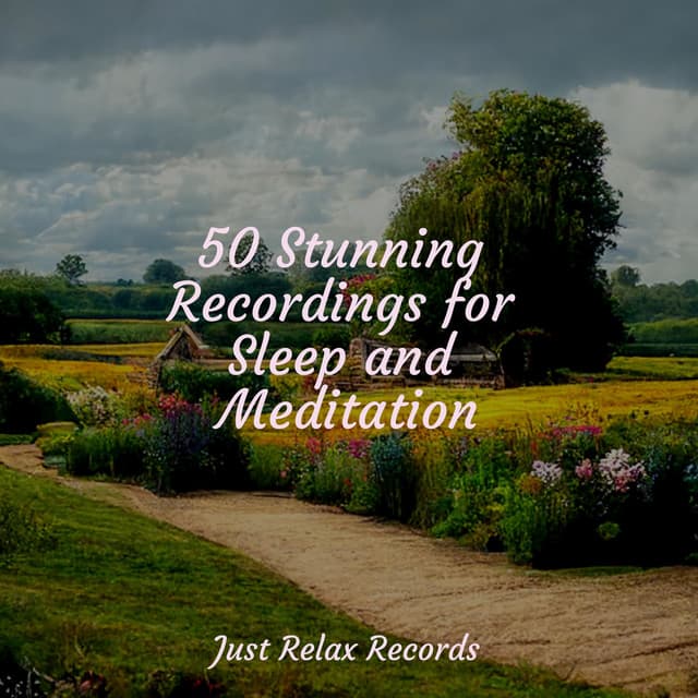 50 Stunning Recordings for Sleep and Meditation - Binaural Beats Brainwave Entrainment