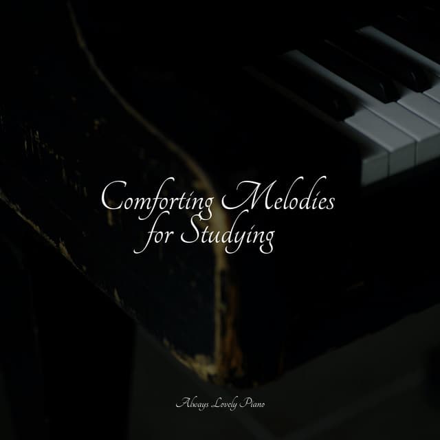 Comforting Melodies for Studying - Exam Study Classical Music Orchestra