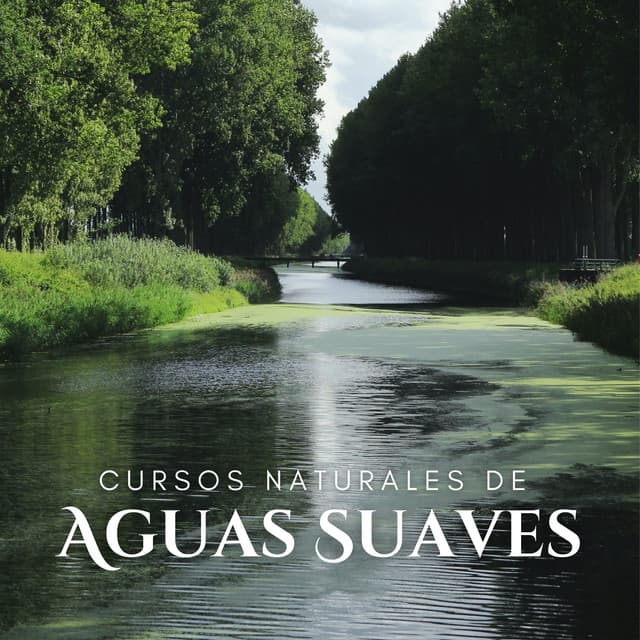 Cursos Naturales De Aguas Suaves - Sonido del Agua Ruido Blanco Natural