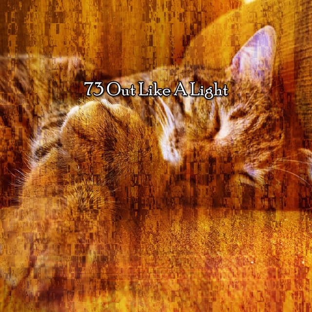 73 Out Like A Light - Best Relaxing Music