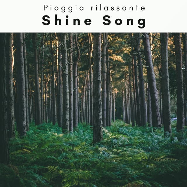 1 REM: Shine Song - Pioggia rilassante
