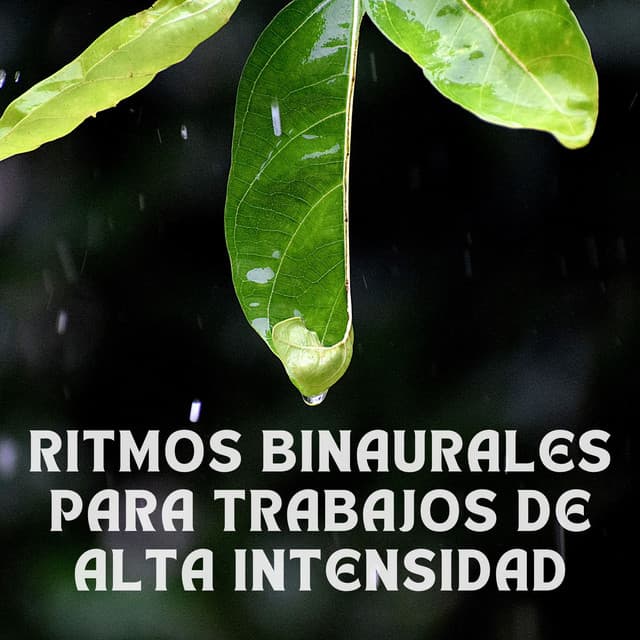 Música para el Trabajo