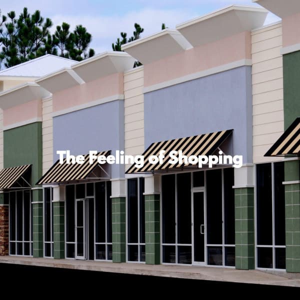 The Feeling of Shopping - Working from Home Music