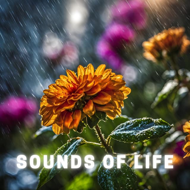 Sounds of Life - Little Circuits